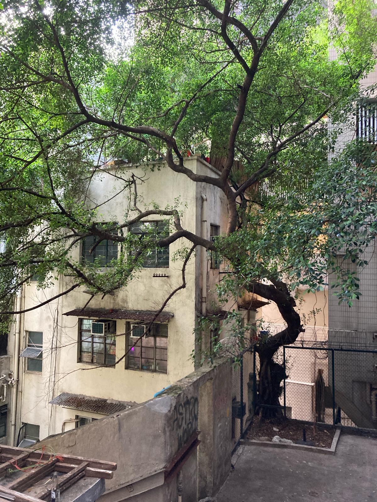 Photo by Vanessa Yeung: Aberdeen Street 